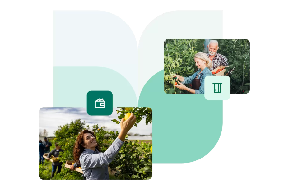 Carte Visa Classic Crédit Agricole
